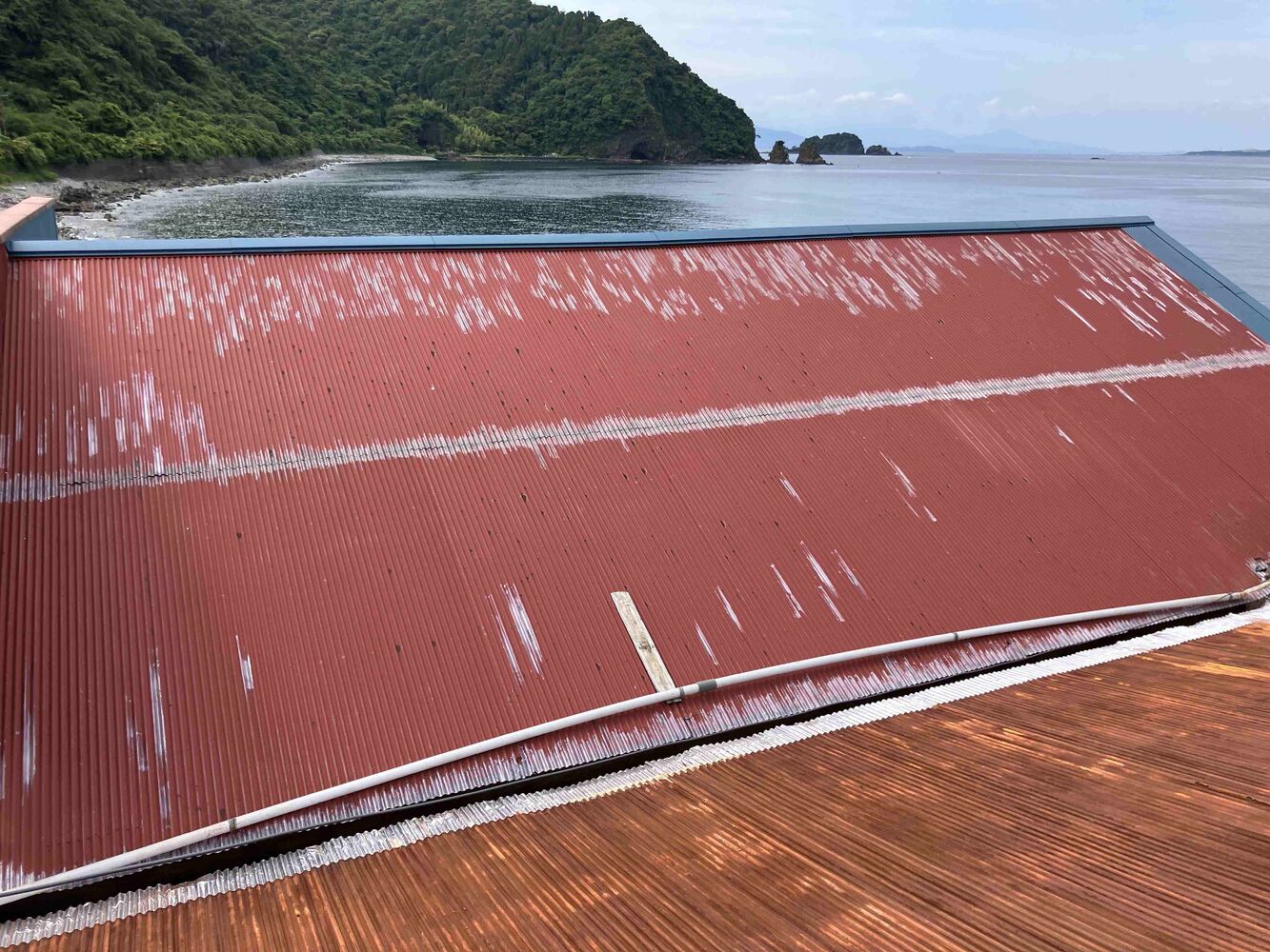 ブログ画像